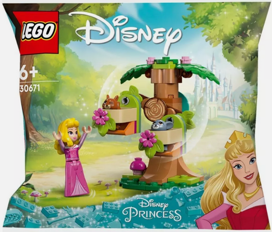 30671 - Disney Aurora's Forest Playground Polybag
