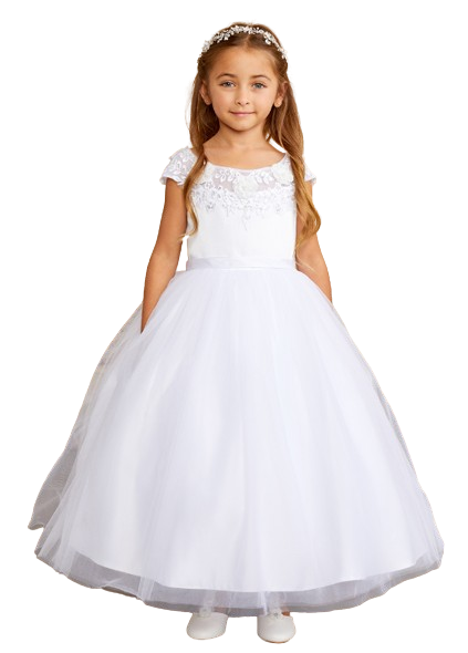 TT5842- Floral Embroidered Bodice with Puff Sleeves