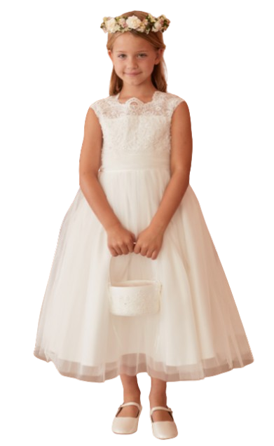 TT5856I - Corded Lace Bodice with Mesh Skirt (Ivory)