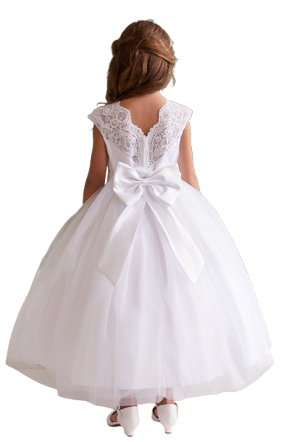 5856W_2 Corded Lace Bodice with Mesh Skirt
