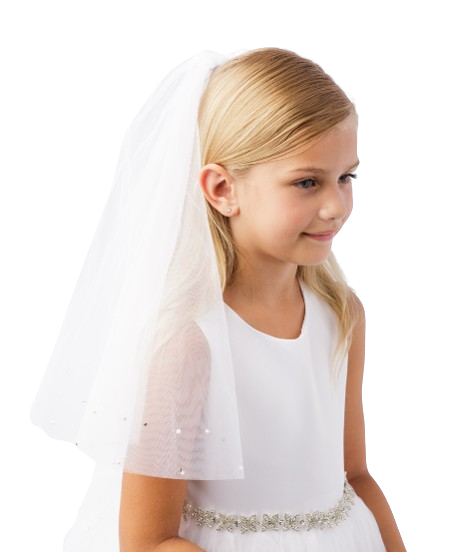 773 - Veil with Raw Tulle Edge