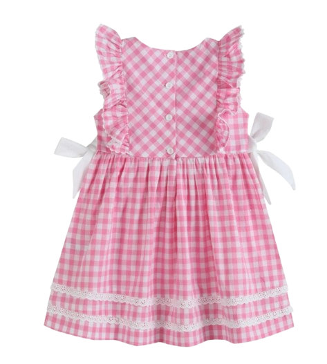 CA56 - Lil Cactus Pink Check Ruffle A-Line Dress