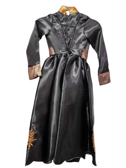 PCNE - New Elsa Version