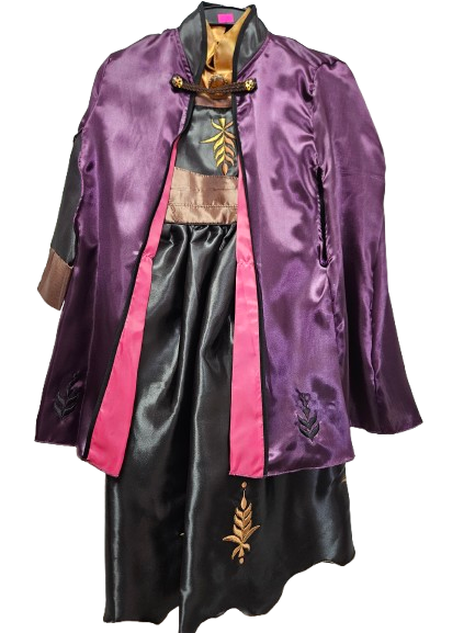 PCNE - New Elsa Version