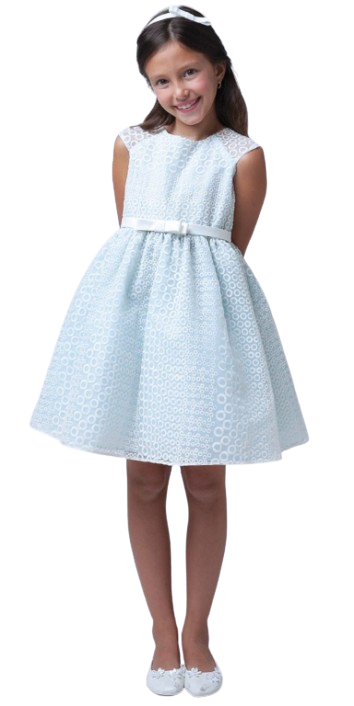 SK555B - Circle Embroidery Dress