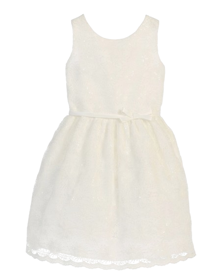 SK596 - Flower Embroidered Mesh with Soft Sequin Detail