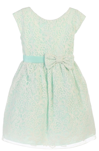 SKB626 - Mint Bouquet Embroidered Organza
