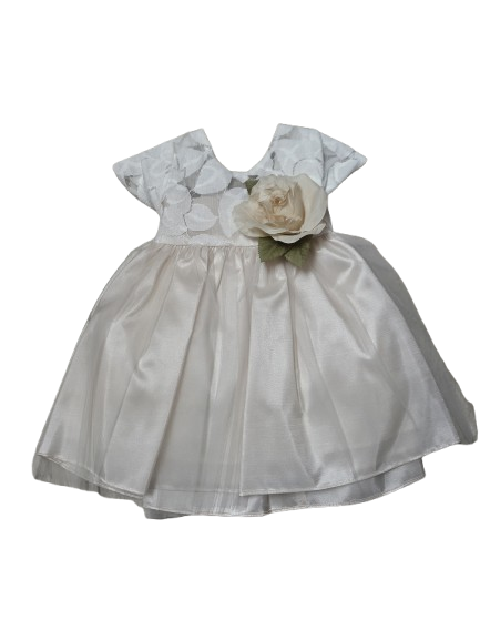 SKB742C - Jasmine Lace Short Gown w/tulle Champagne