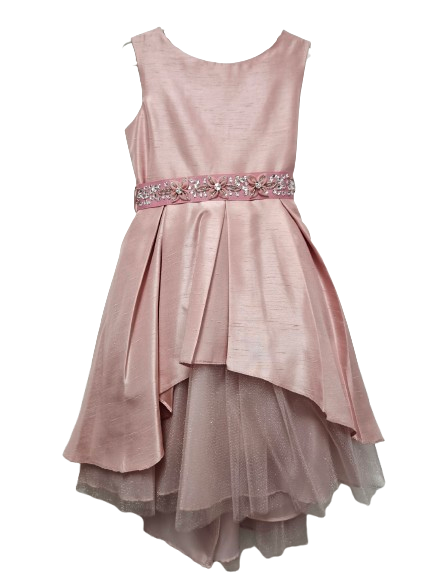 WC863 - Rose Dress