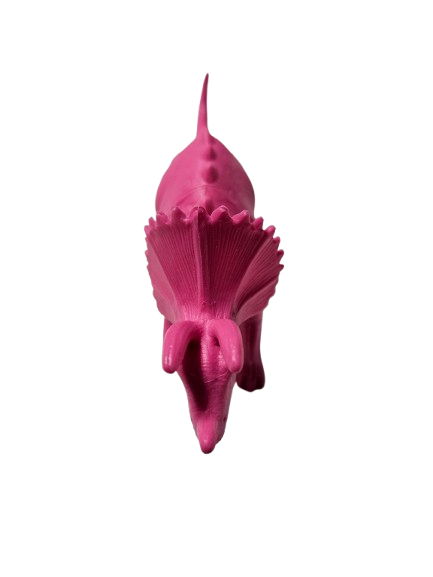 18394b - Triceratops