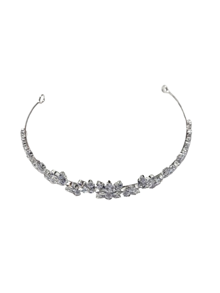 19CRG - Silver Tiara