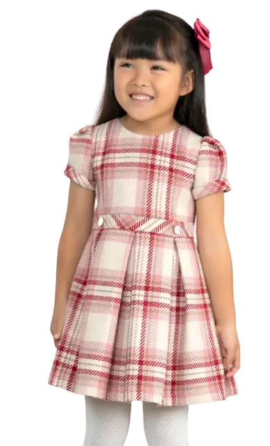 5545 - Abel and Luna Plaid Dress Cadiz Boutique, Inc.