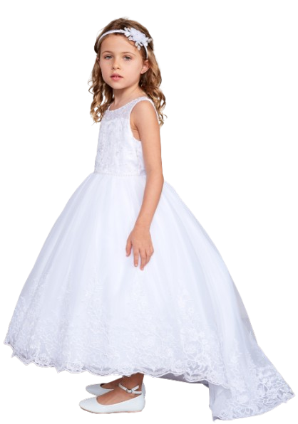 5797 - Illusion Neckline Lace Bodice