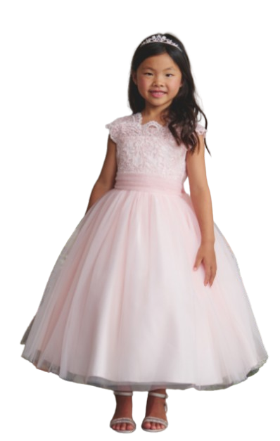 TT5856 - Corded Lace Bodice with Mesh Skirt