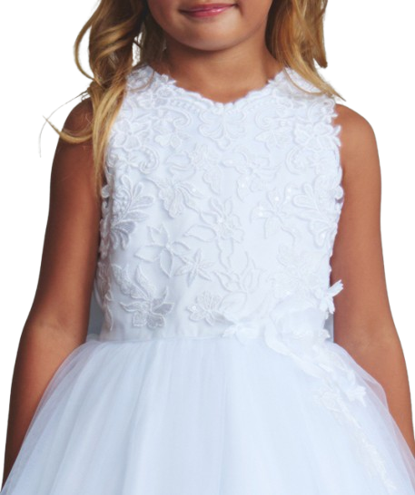 5899 - Lace Bodice with Lace Zipper Detail on Backc