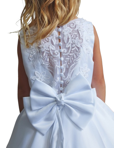5920 - Sheer Lace Panel on the Back