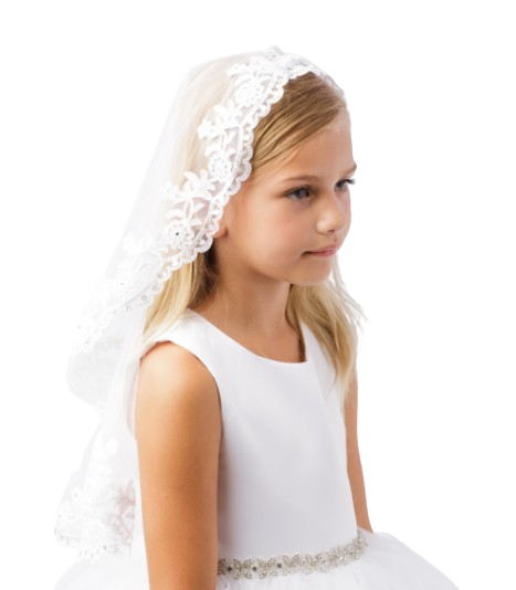 696 - Scalloped Floral Lace Edge Mantilla Veil