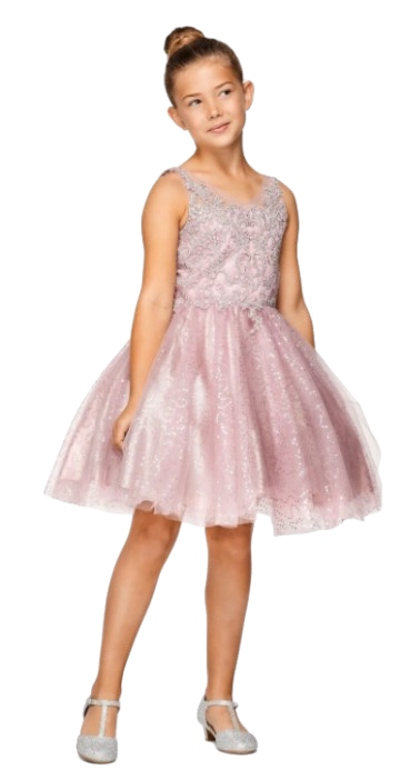 CC5088 - Embroidered V-Neck Dress