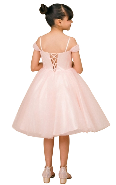 CC8341 - Elegant DressB