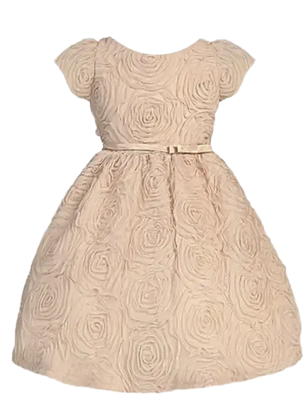 SK266 - Rosette Mesh With Taffeta Bow Waist Cadiz Boutique, Inc.