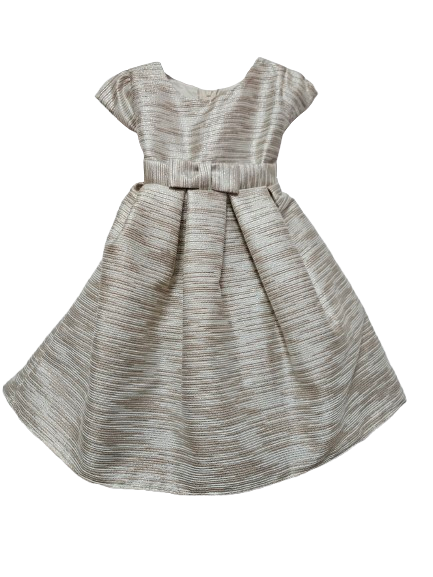 SKB542B - Brown Metallic Dress