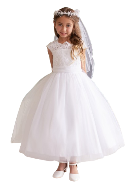 TT5856W - Corded Lace Bodice with Mesh Skirt