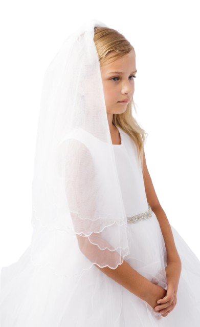 TT650 - Plain Veil with Scalloped Chord Edging